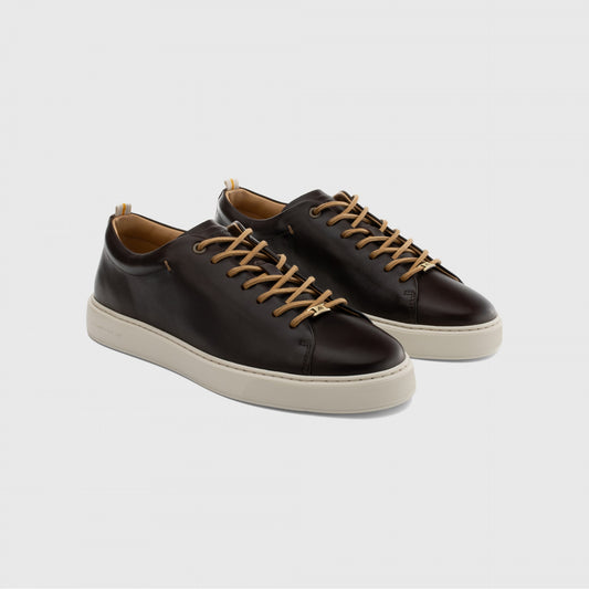 Ambitious Smart Trainer in Brown